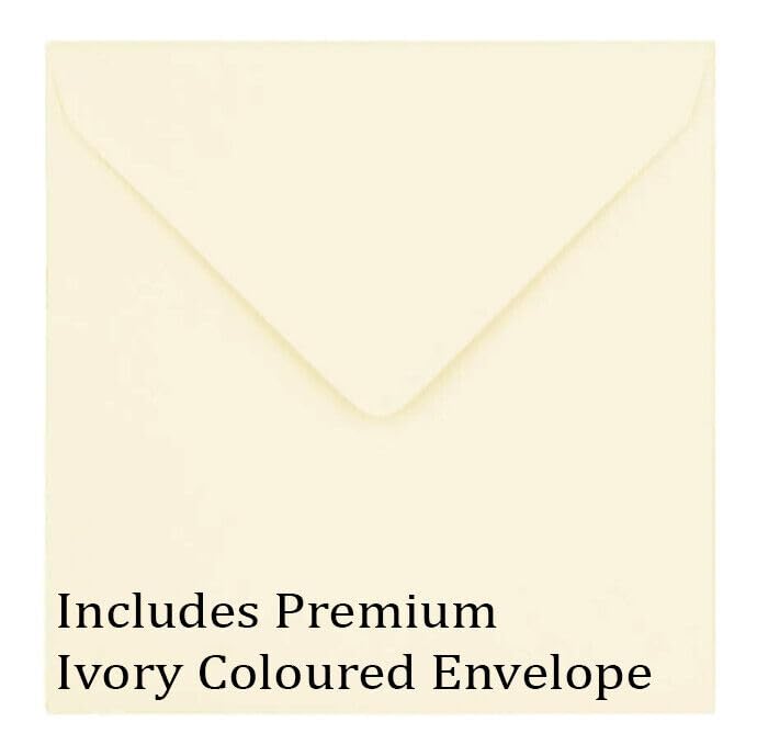 Christmas Cards - Robin - Festive Xmas Cards 145 x 145mm