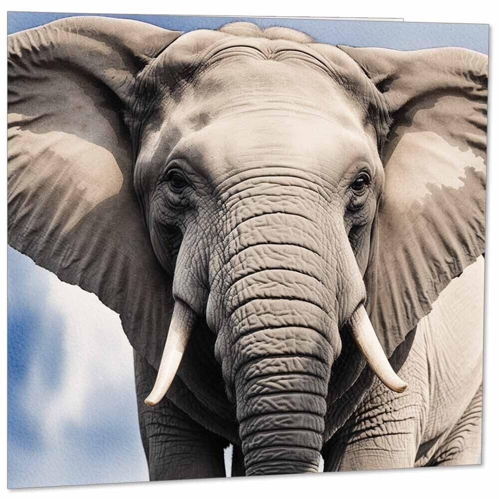 Elephant Greeting Card 145mm x 145mm Square