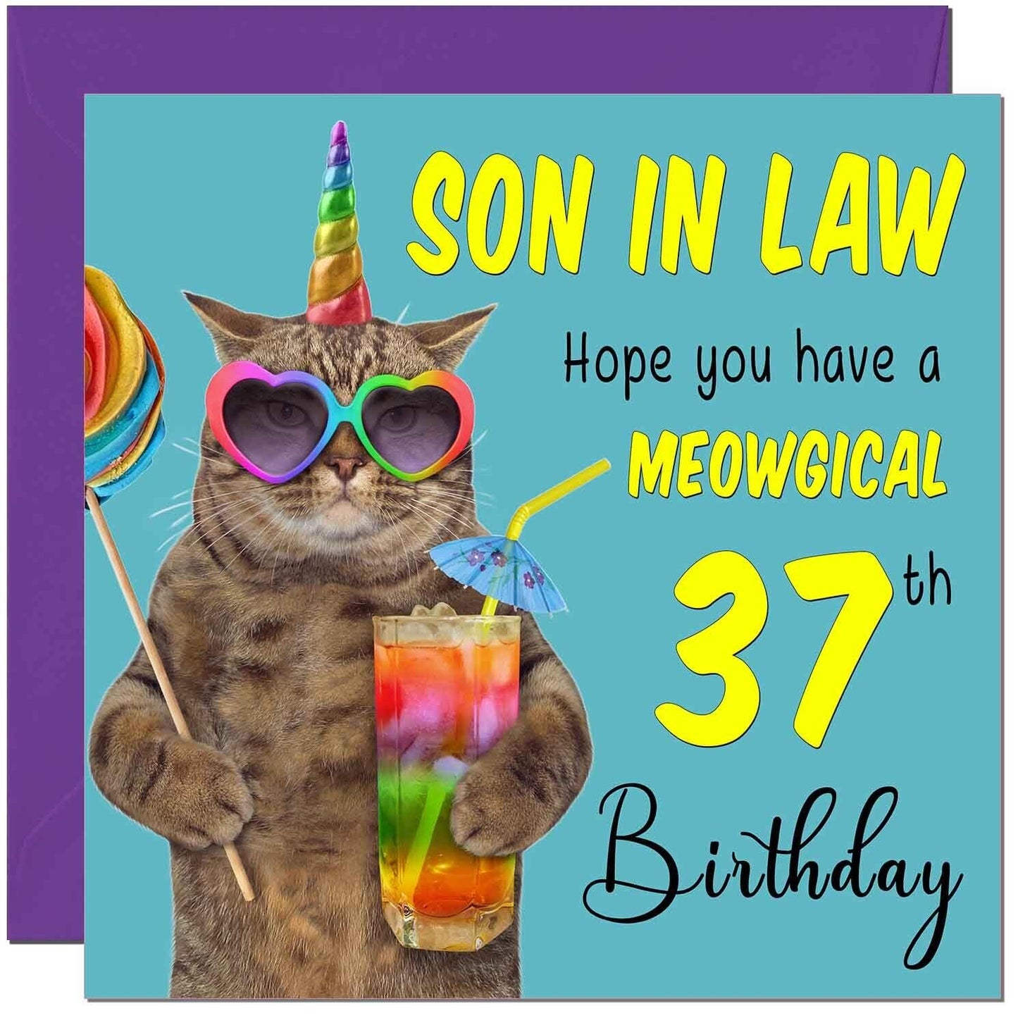 Son in Law Birthday Card - Meowgical Cat Funny Son in Law's