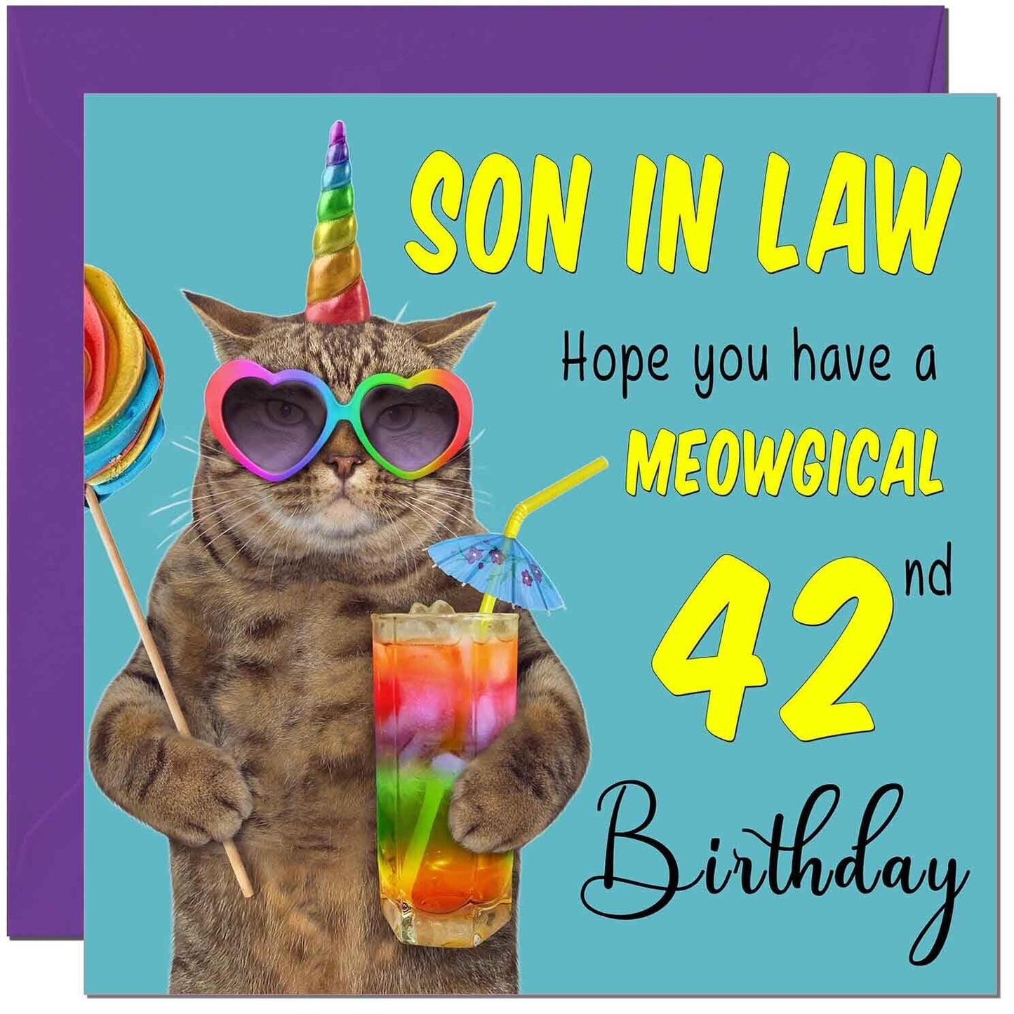 Son in Law Birthday Card - Meowgical Cat Funny Son in Law's