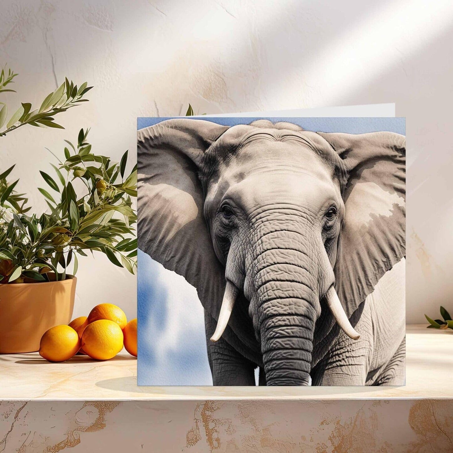 Elephant Greeting Card 145mm x 145mm Square
