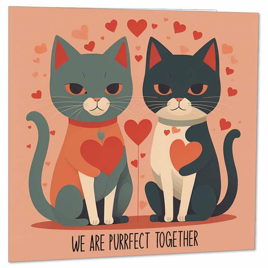 Anniversary Card - Purrfect Together - Cute Funny Cats Romantic Valentines Card for boyfriend Girlfriend Husband Wife Couples Partner 145 x 145mm - Purple Fox Gifts