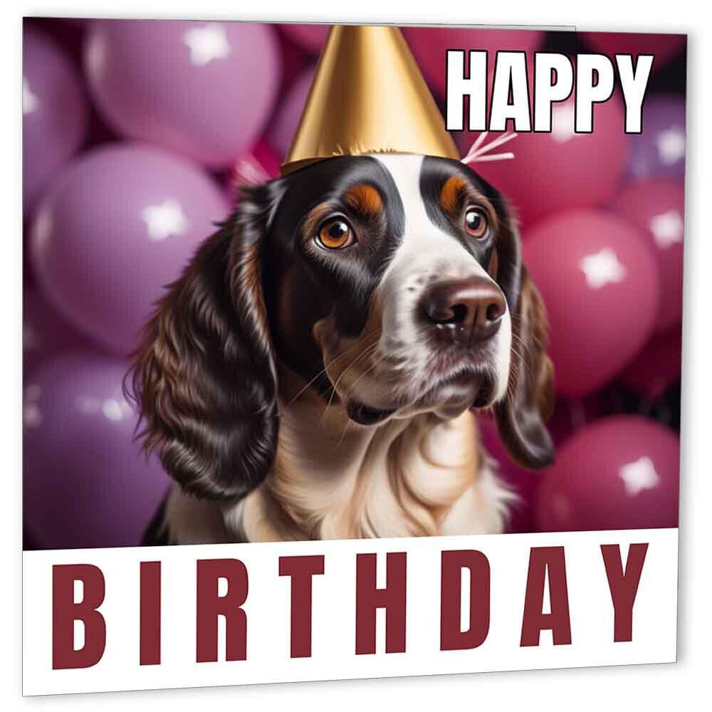 Springer Spaniel Birthday Card 147 x 147mm - Purple Fox Gifts