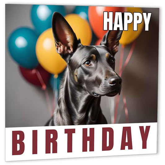 Xoloitzcuintle Xolo Birthday Card 147 x 147mm Mexican Hairless Dog birthday Card - Purple Fox Gifts