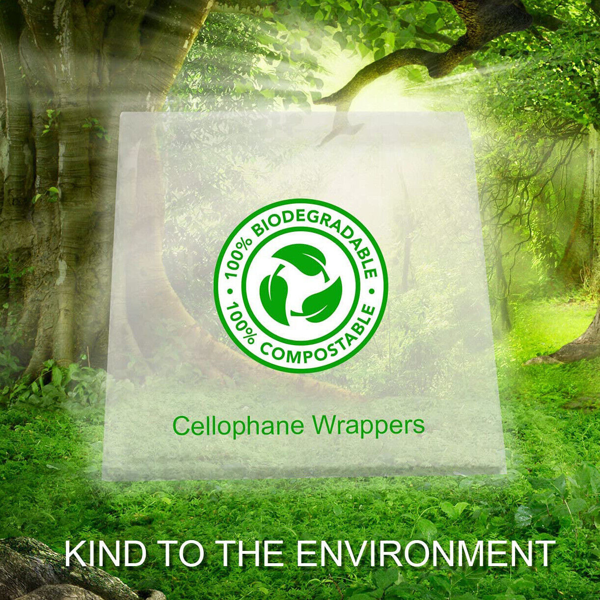 Anger Management Funny Birthday Card Rude Novelty birthday card 147 x 147mm - Purple Fox Gifts