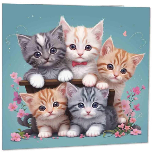Cat Kitten Greeting Card - Cute Birthday Card Adorable Kitty Lover 145mm x 145mm
