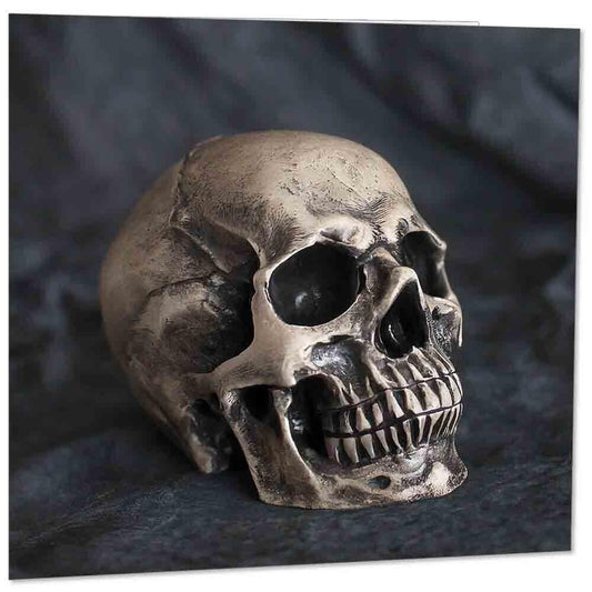 Skull Greeting Card - Square 145mm x 145mm