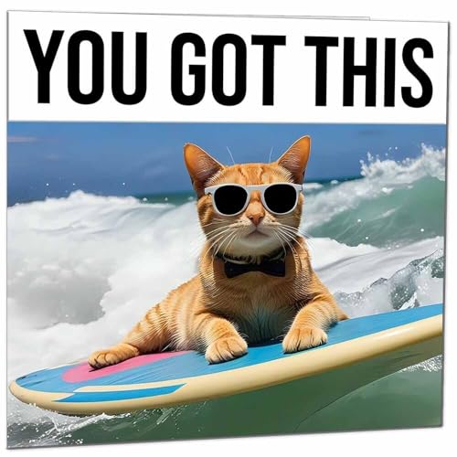 Good Luck Card - You Got This Funny Cat - Colleague Leaving Card Co Worker