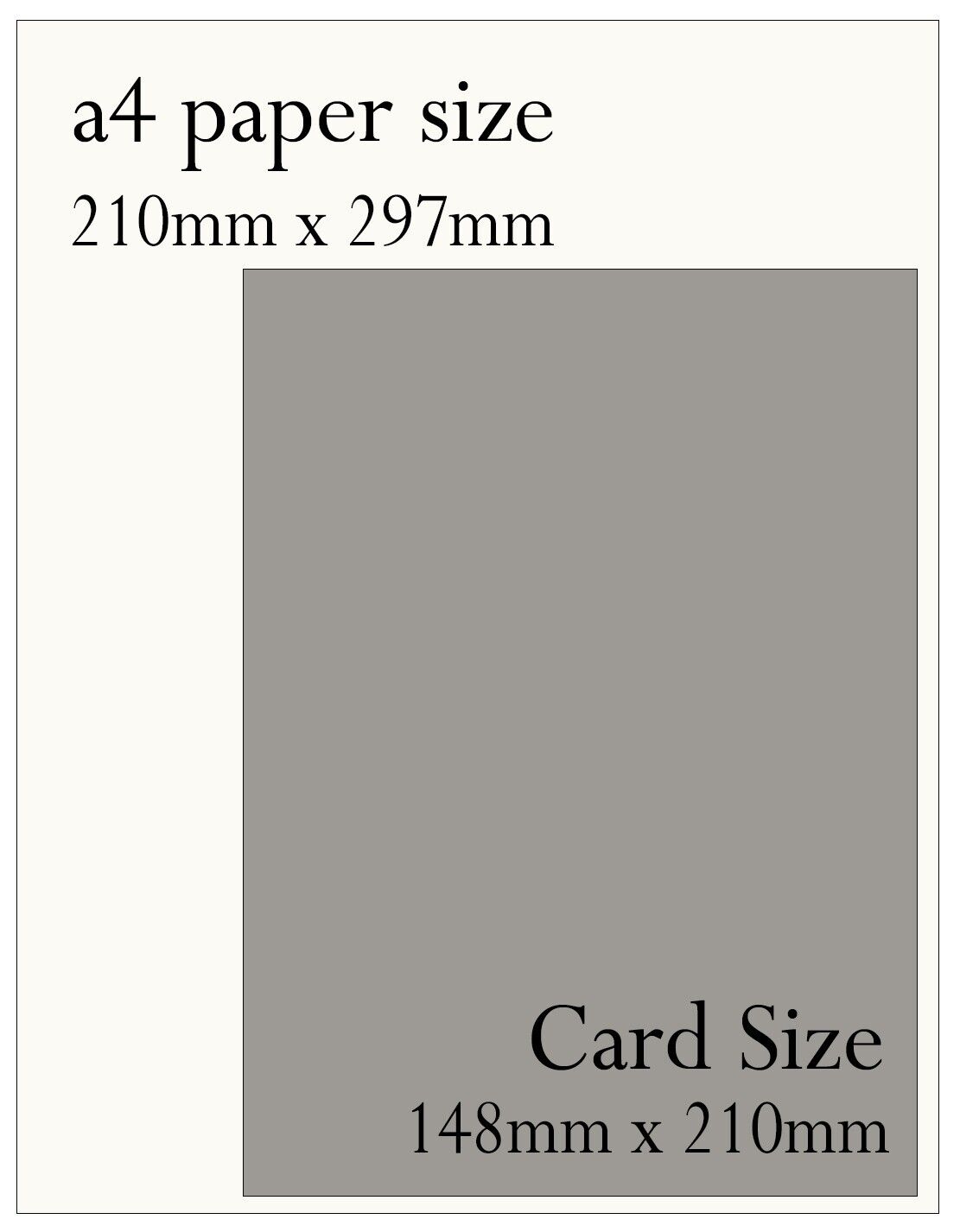Cute Penguin Birthday Card - Large A5 Size - Comes With Grey Envelope