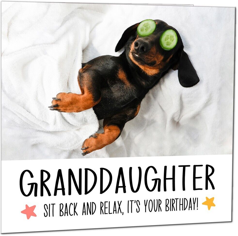 Birthday Card - Relax Dog Dachshund Funny