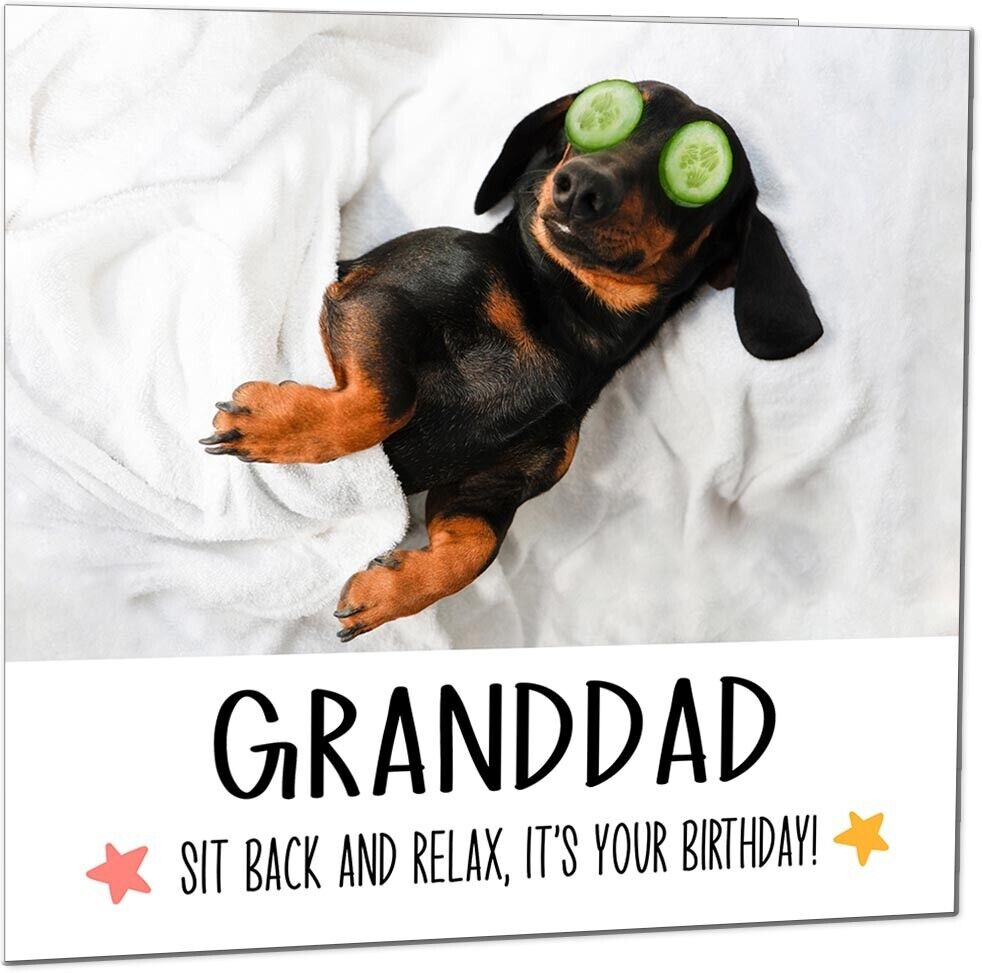 Birthday Card - Relax Dog Dachshund Funny