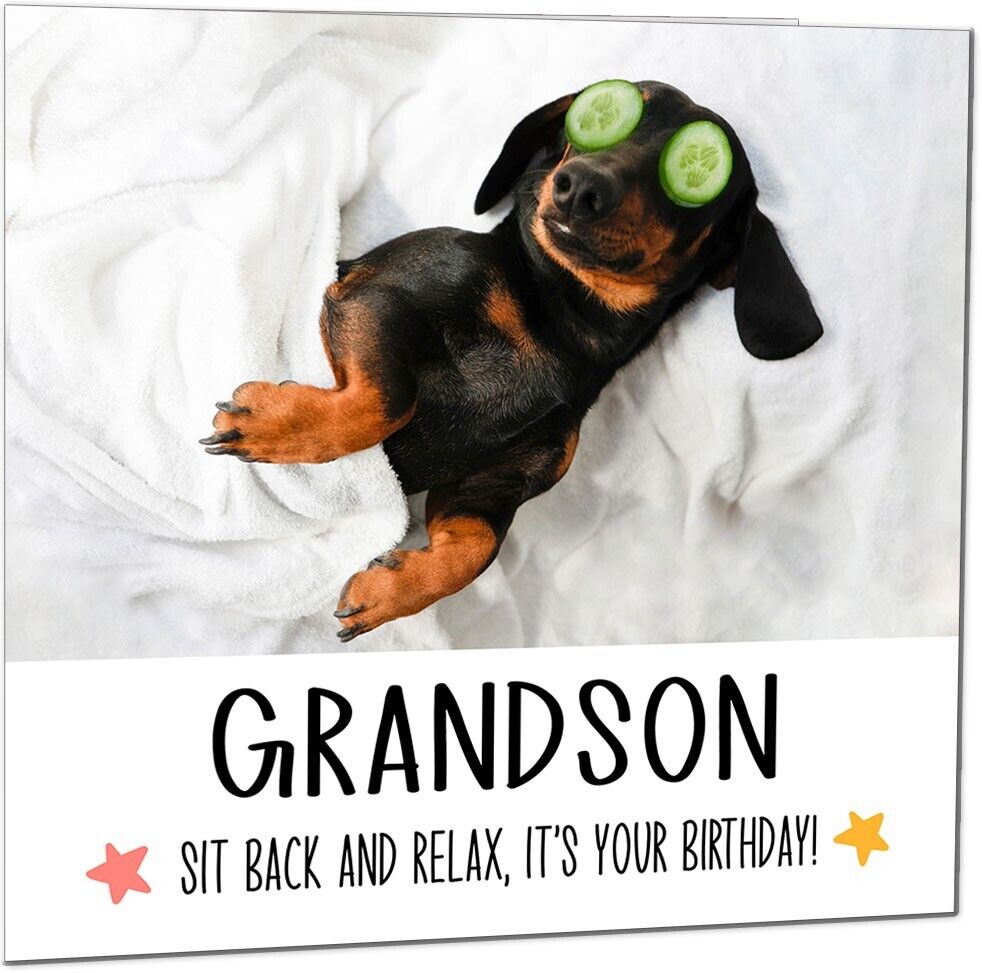 Birthday Card - Relax Dog Dachshund Funny