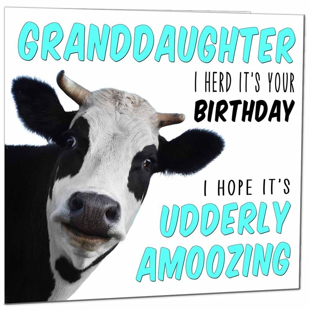 Birthday Card for Men Women Cow Pun Funny