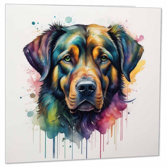 Watercolour Labrador Greeting Card Labrador Retriever Birthday Card 145 x 145mm