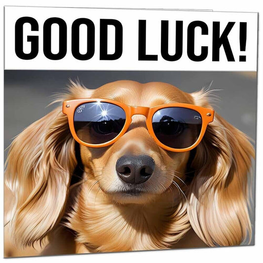 Good Luck Card - Sausage Dog Co Worker Colleague New Job Card - 145 x 145mm