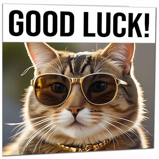 Good Luck Card - Cool Tabby Cat - You Got This Colleague New Job Card