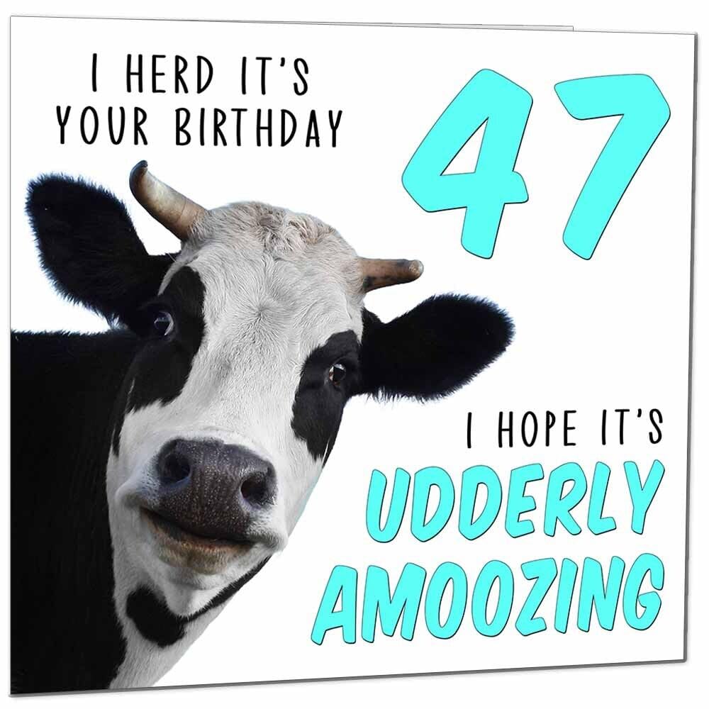 Birthday Card for Men Women Cow Pun Funny