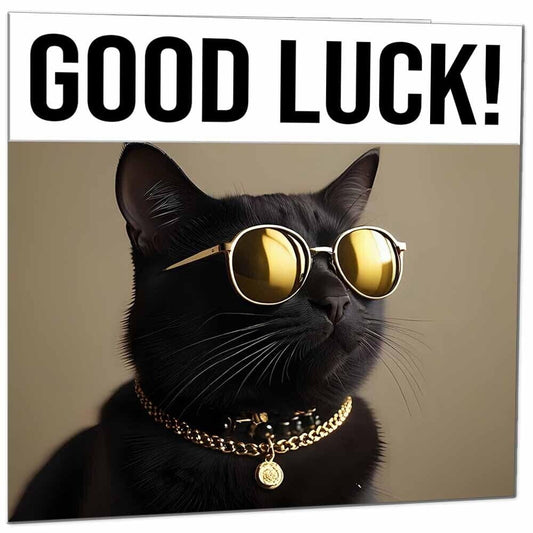 Good Luck Card - Cool Black Cat - Co Worker Colleague New Job Card 145 x 145mm