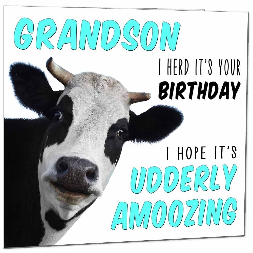 Birthday Card for Men Women Cow Pun Funny