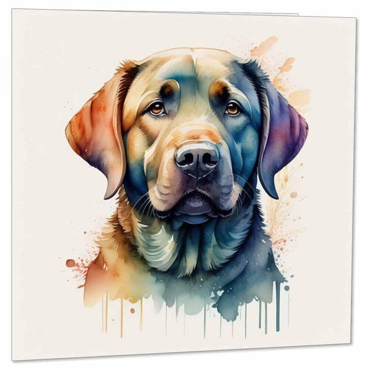 Watercolour Labrador Dog Greeting Cards 145 x 145mm Labrador Birthday Card