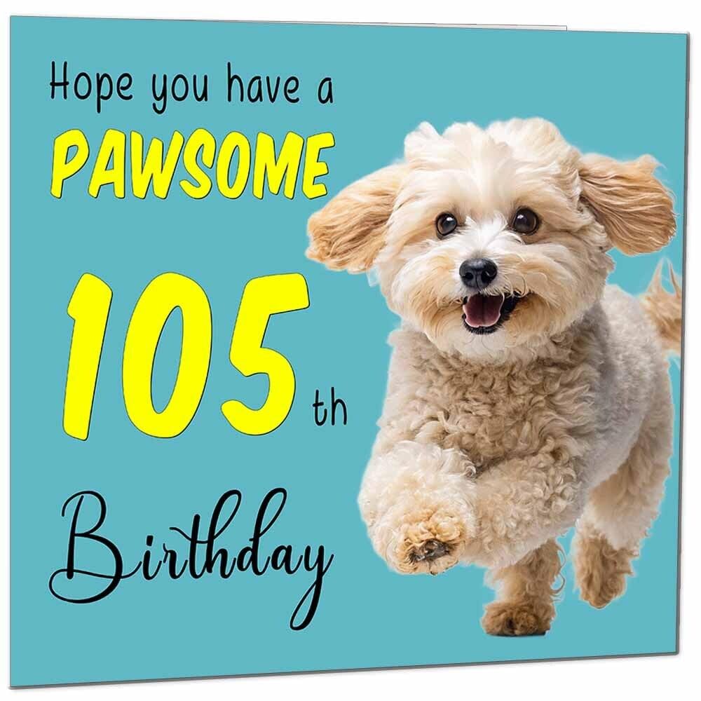 Birthday Card for Men Women Dog Pawsome