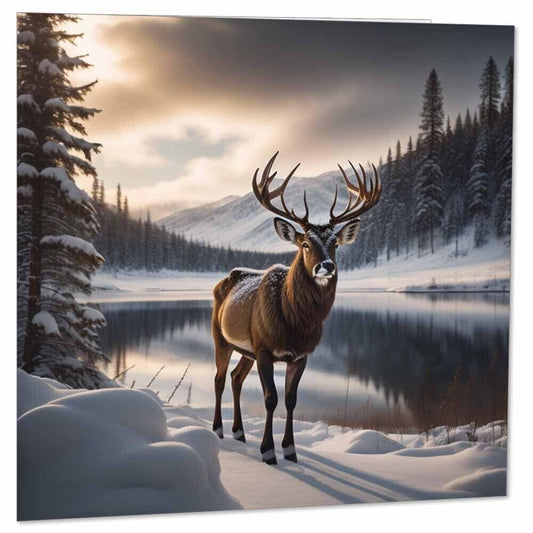 Reindeer Greeting Card Winter Christmas Cards 145 x 145mm