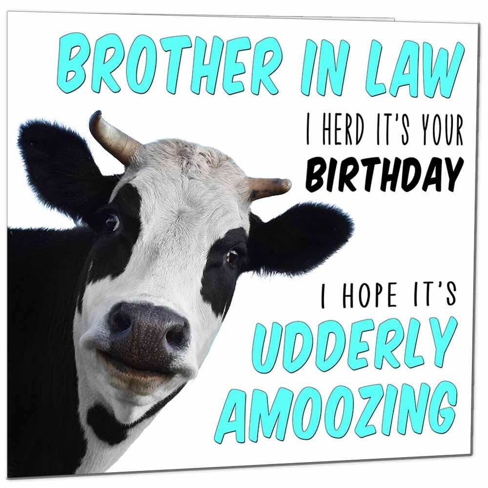 Birthday Card for Men Women Cow Pun Funny