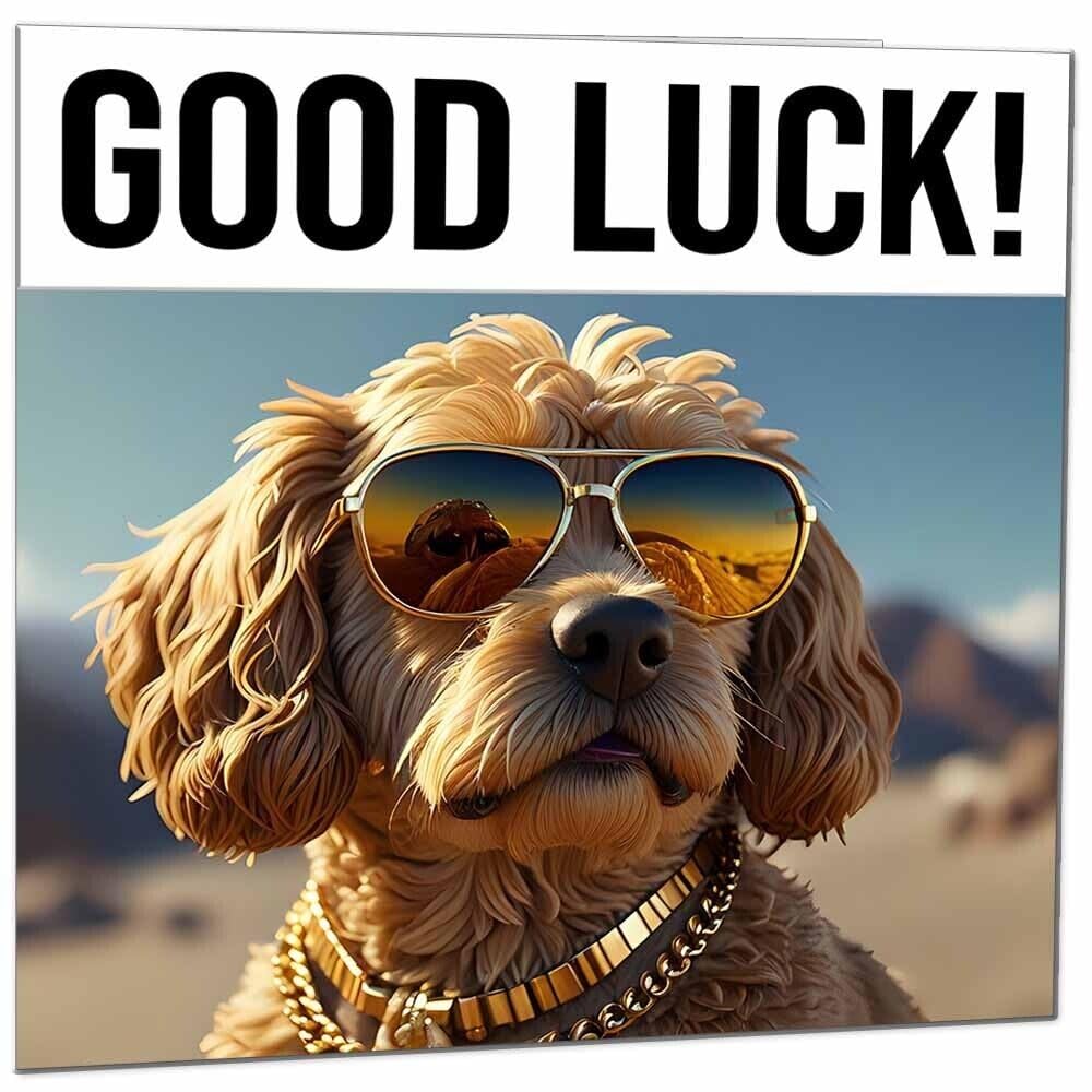 Good Luck Card - Cool Cockapoo - Colleague Co Worker New Job Card 145 x 145mm