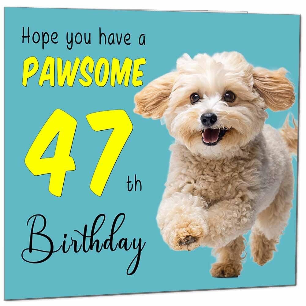 Birthday Card for Men Women Dog Pawsome