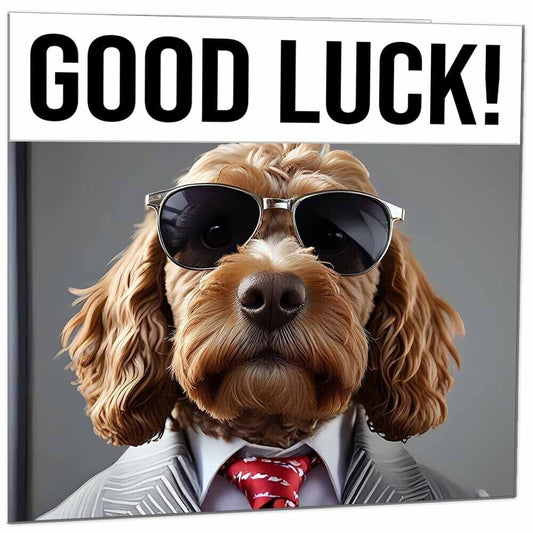 Good Luck Card - Cool Cockapoo in Sunglasses