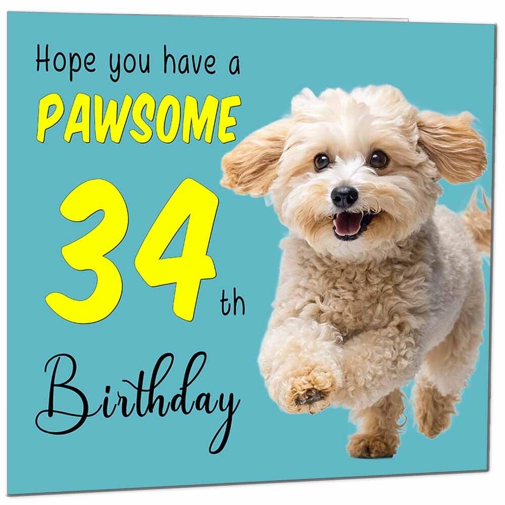 Birthday Card for Men Women Dog Pawsome