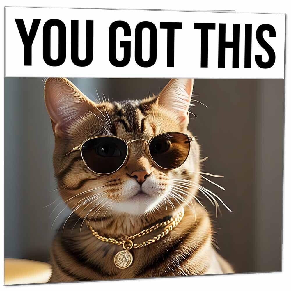 Good Luck Card - Cool Tabby Cat - You Got This Colleague New Job Card 145x145mm