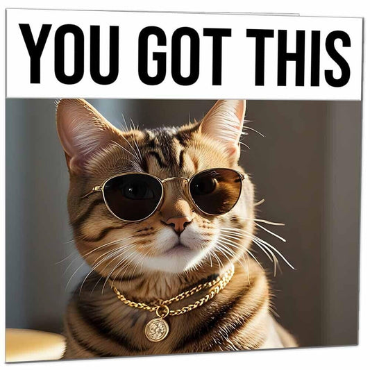 Good Luck Card - Cool Tabby Cat - You Got This Colleague New Job Card 145x145mm