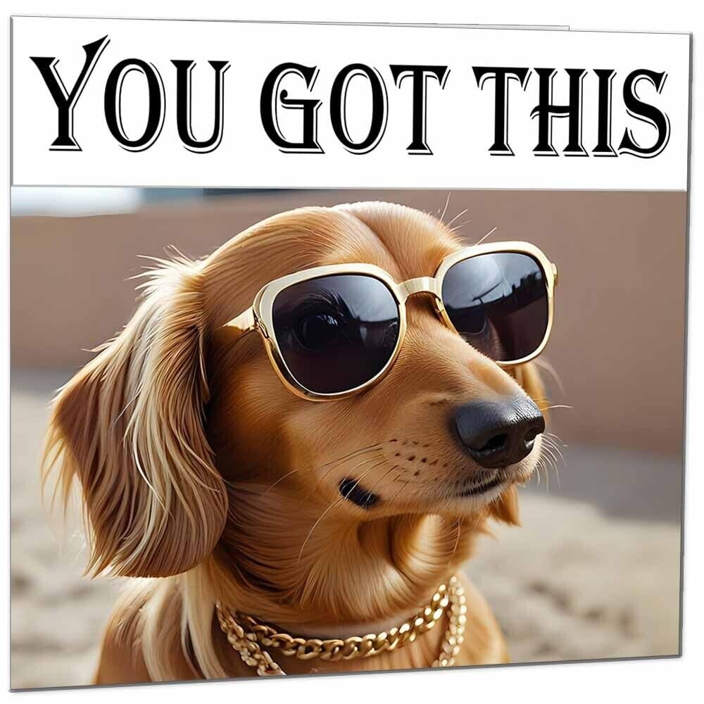 Good Luck Card You Got This Card - Cool Dog Colleague New Job Card - 145 x 145mm