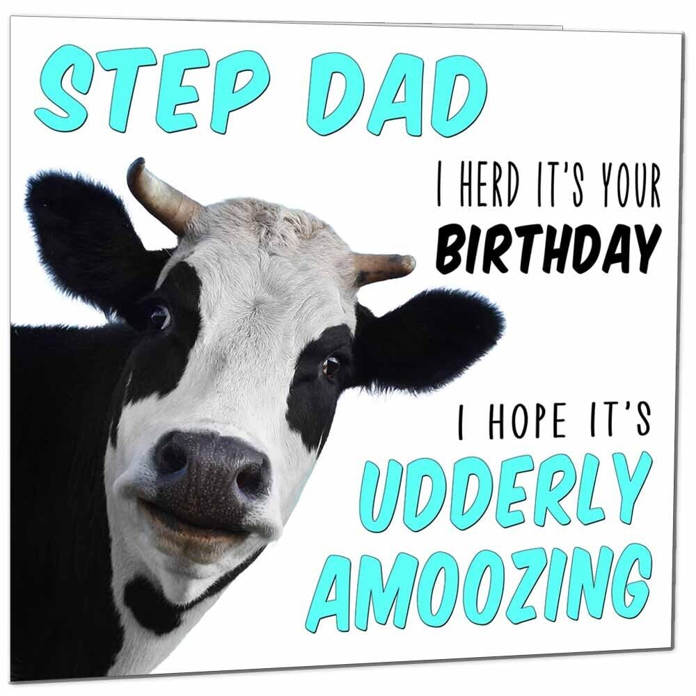 Birthday Card for Men Women Cow Pun Funny