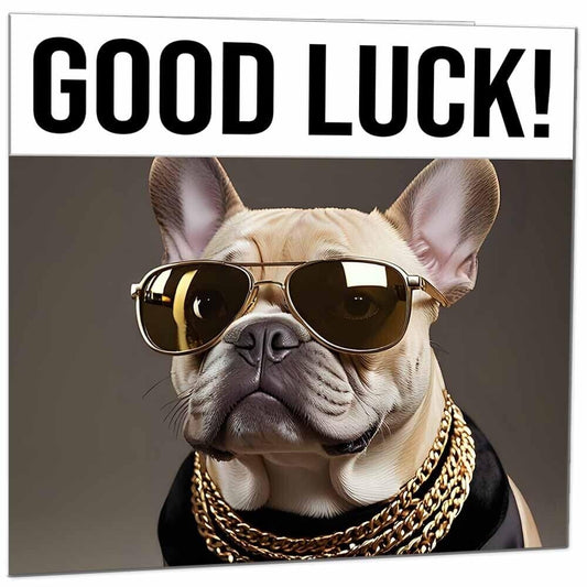 Good Luck Card - Cool Pug Dog You Got This Colleague New Job Card - 145 x 145mm