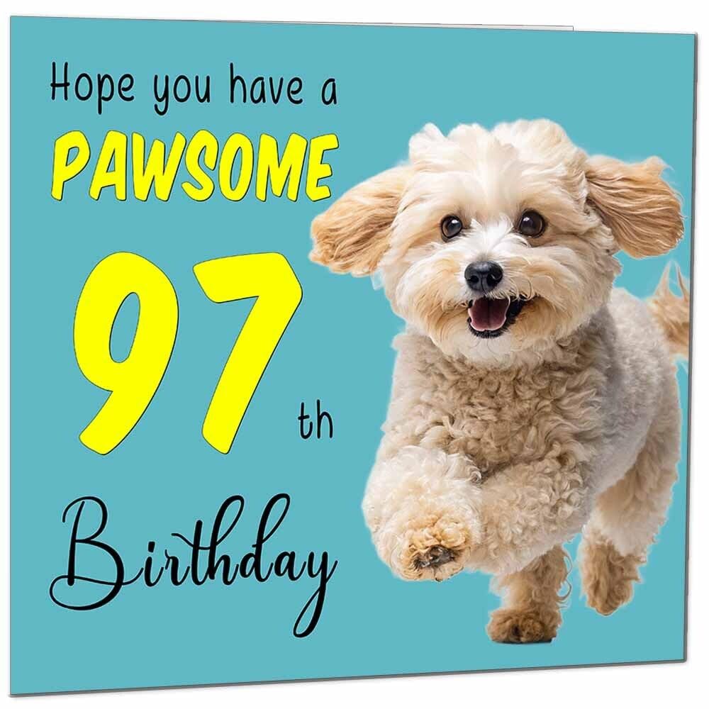 Birthday Card for Men Women Dog Pawsome