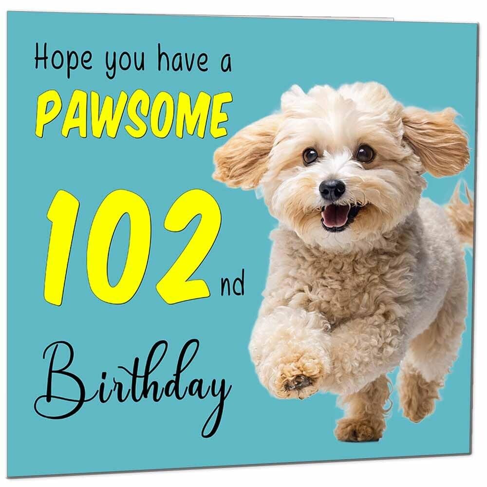 Birthday Card for Men Women Dog Pawsome