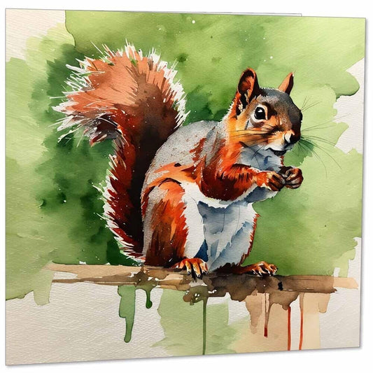 Watercolour Squirrel Greeting Card - Water color Squirrel 145mm x 145mm Square