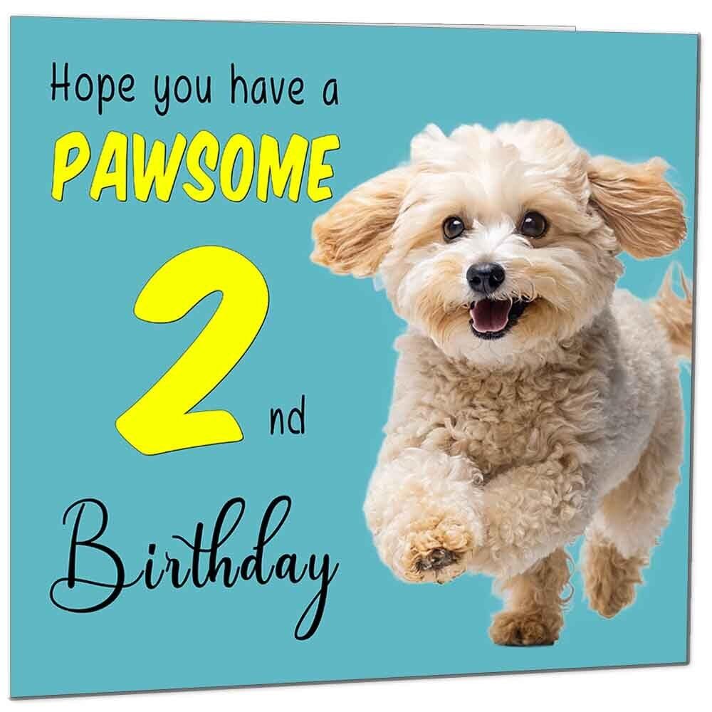 Birthday Card for Men Women Dog Pawsome