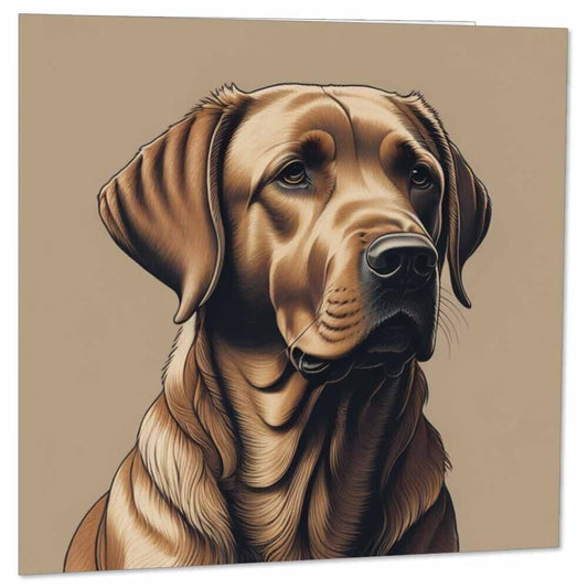 Chocolate Labrador Greeting Card Labrador Birthday Card 145 x 145mm