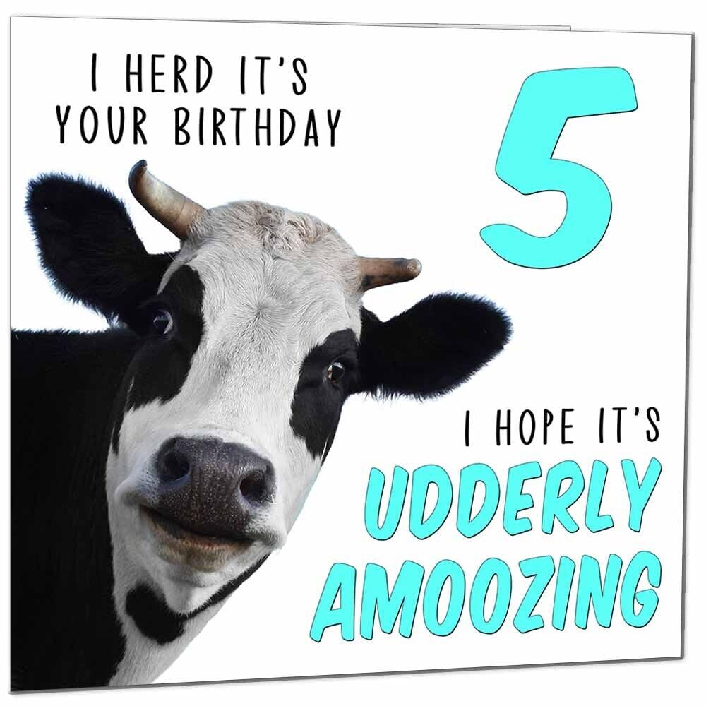 Birthday Card for Men Women Cow Pun Funny