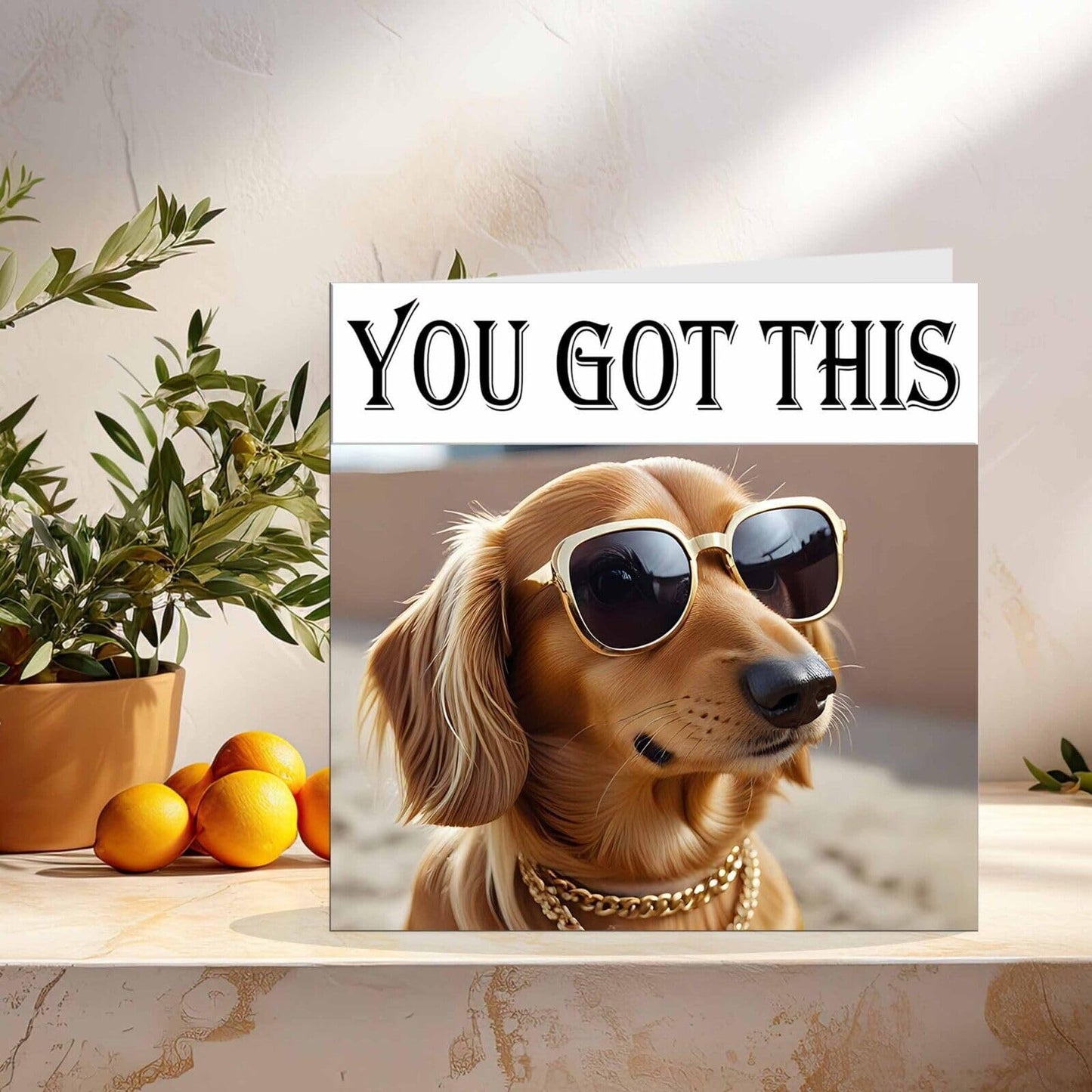 Good Luck Card You Got This Card - Cool Dog Colleague New Job Card - 145 x 145mm