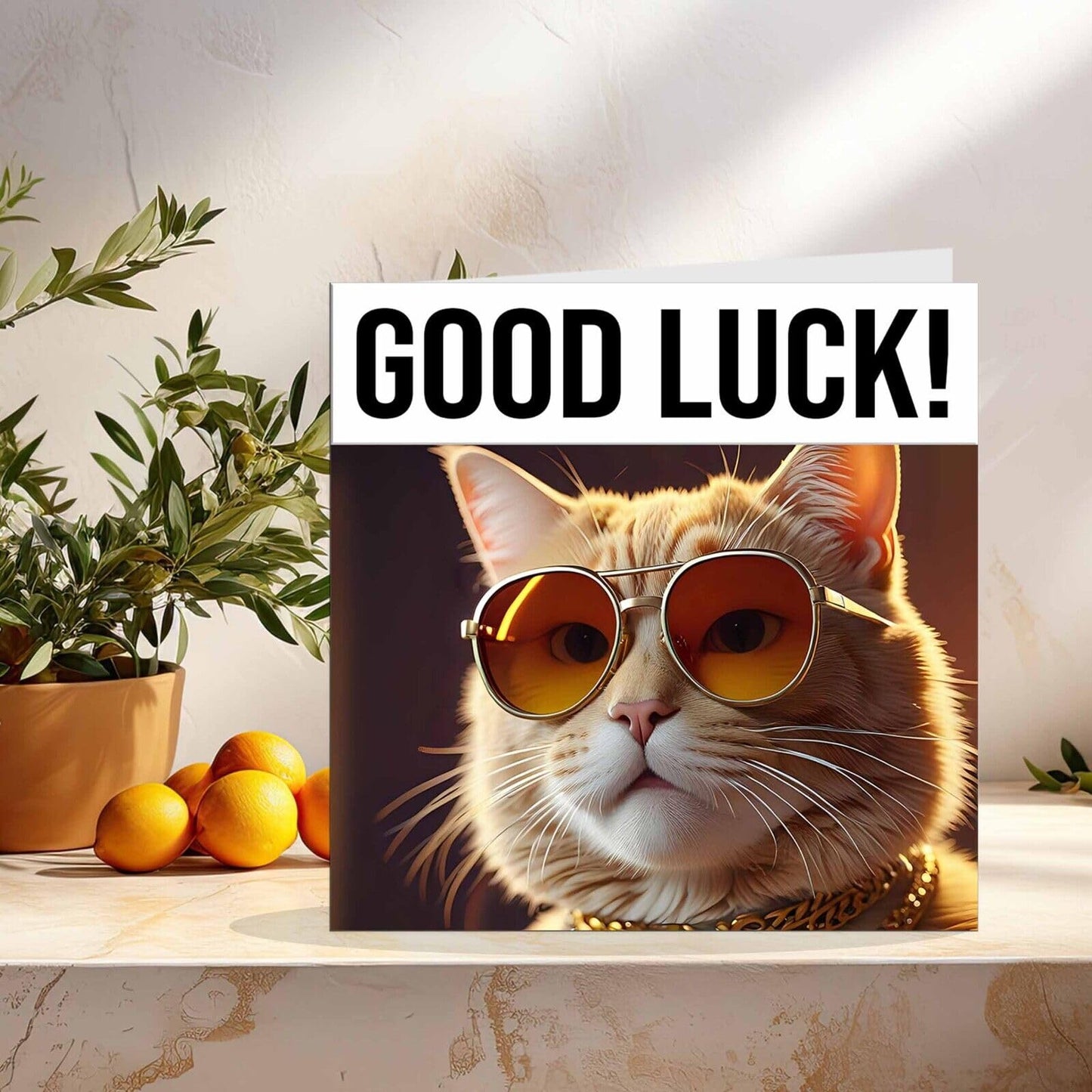 Good Luck Card - Cool Cat - Co Worker Colleague New Job Card 145 x 145mm