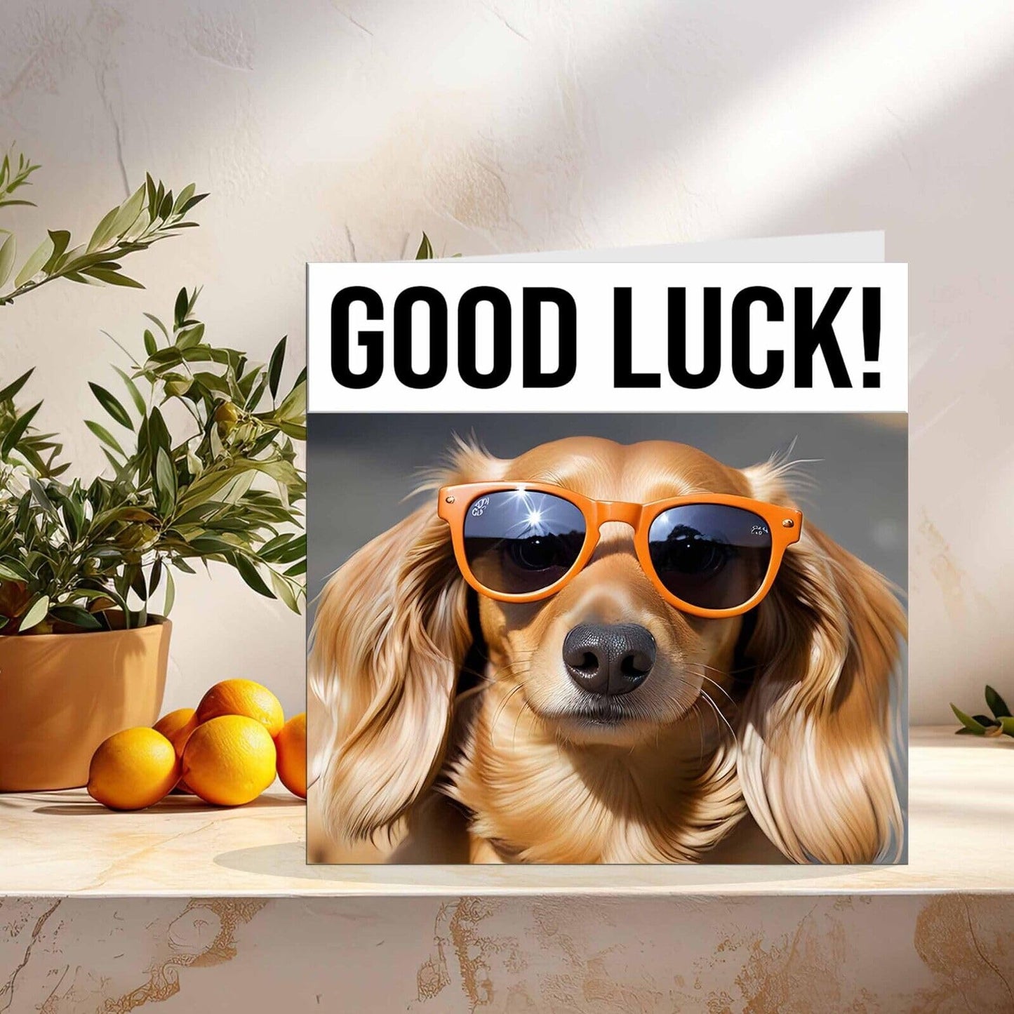 Good Luck Card - Sausage Dog Co Worker Colleague New Job Card - 145 x 145mm