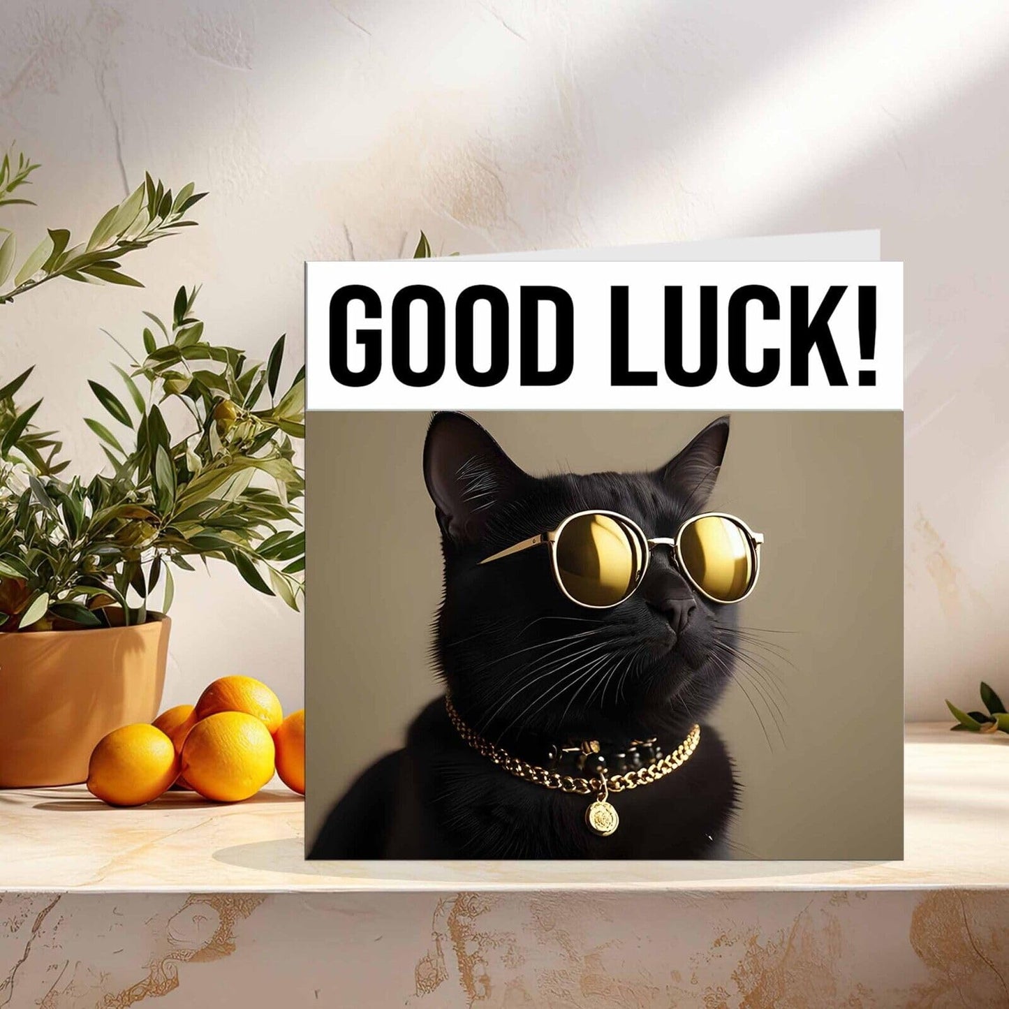 Good Luck Card - Cool Black Cat - Co Worker Colleague New Job Card 145 x 145mm