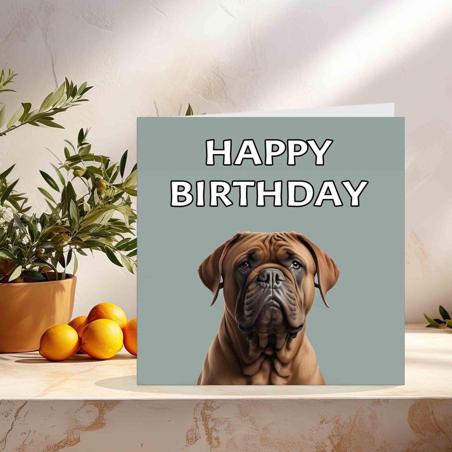 Dogue de Bordeaux Birthday Card - Happy Birthday 145mm x 145mm