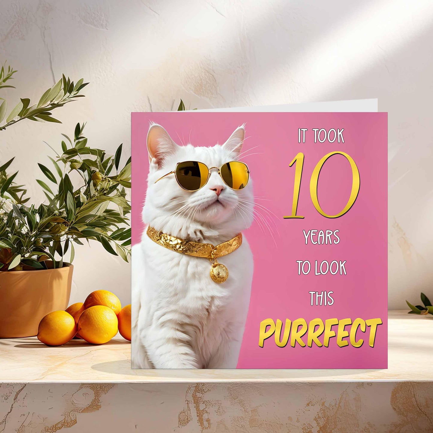 Cat Birthday Card for Women - Purrfect Birthday - Funny Cat Birthday Card for Year old woman Ladies Nan Grandma Mum Aunt Sister Mum Friend Kitty Kitten