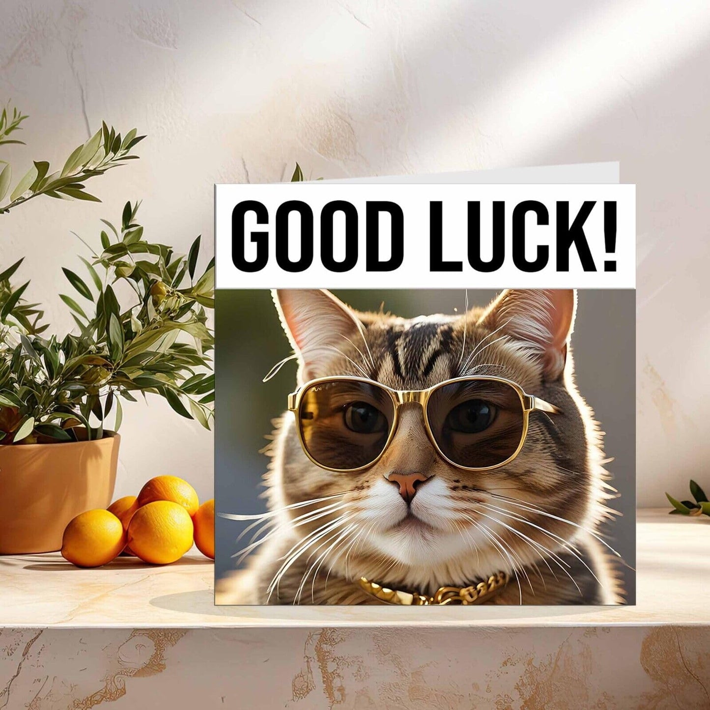 Good Luck Card - Cool Tabby Cat - You Got This Colleague New Job Card