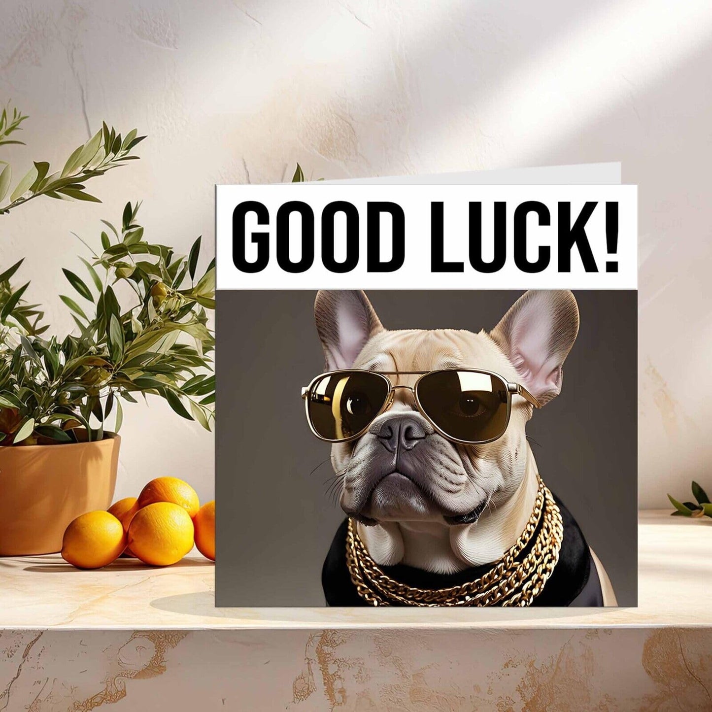 Good Luck Card - Cool Pug Dog You Got This Colleague New Job Card - 145 x 145mm